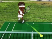 Jocuri cu mini tenis 3d