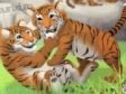 Jocuri cu Tigri la Zoo