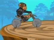 motorcross cu maimute soferi